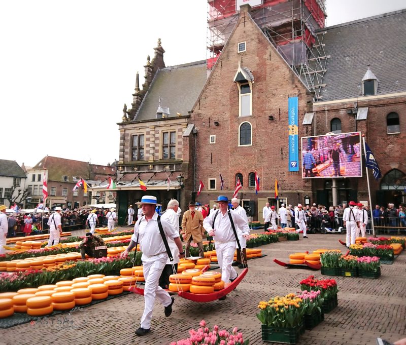 旅。荷蘭 | 乳酪控不可錯過的阿爾克瑪爾乳酪市場(Alkmaar  cheese market)