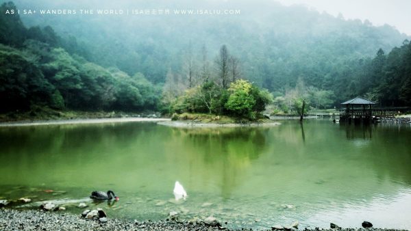 旅。宜蘭 | 春遊明池國家森林遊樂區&明池山莊